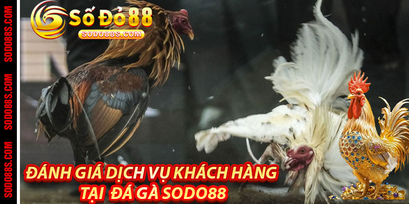 Đá Gà Sodo88 – Cảm Giác Thật, Trận Đấu Đỉnh, Thưởng Liền Tay!