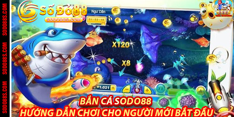 Bắn Cá Sodo88 – Đại Dương Thưởng Khủng Chờ Bạn Khám Phá!