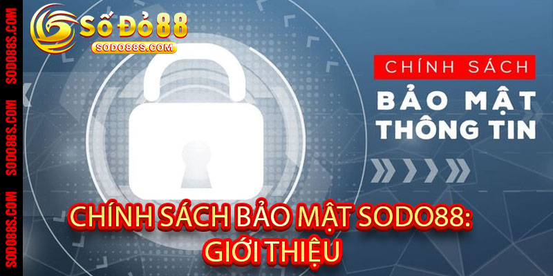 Chính Sách Bảo Mật Sodo88: An toàn tuyệt đối, bảo vệ người chơi 24/7!