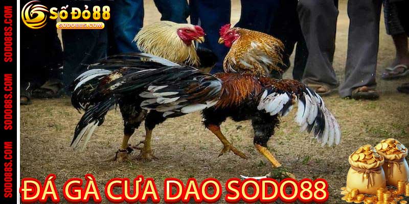 ĐÁ GÀ - sodo88