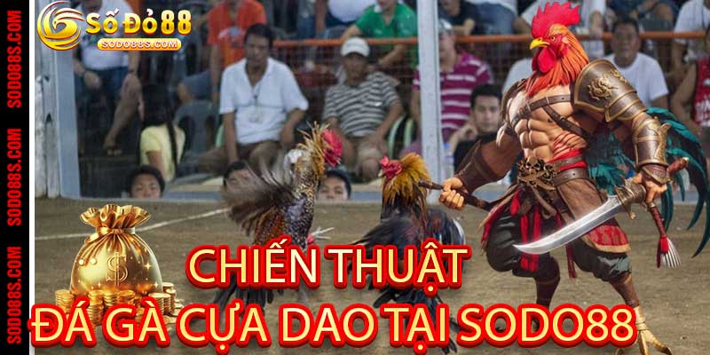 Đá Gà Cựa Dao - Chiến Kê Rực Lửa Tại Nhà Cái Sodo88