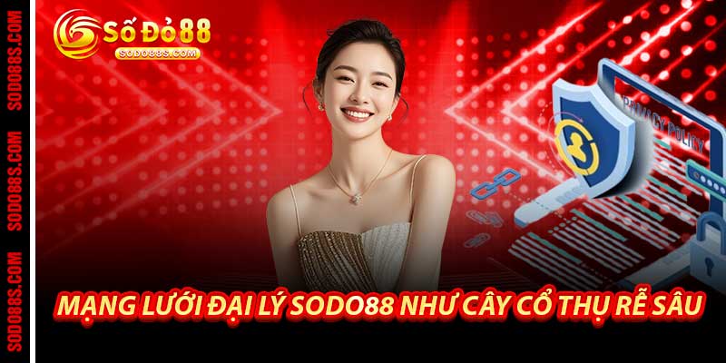 Đại Lý Sodo88 - Mạng Lưới Hợp Tác Kiếm Tiền Vững Chắc