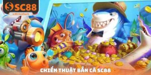 Bắn Cá SC88 - Trải Nghiệm Săn Thưởng Đỉnh Cấp Số 1 Thị Trường