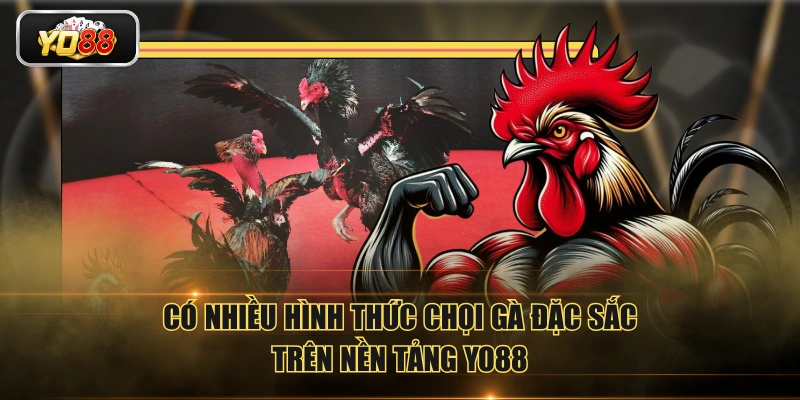 Đá Gà YO88 Phát Sóng Trực Tiếp Đá Gà Với Chất Lượng 4K