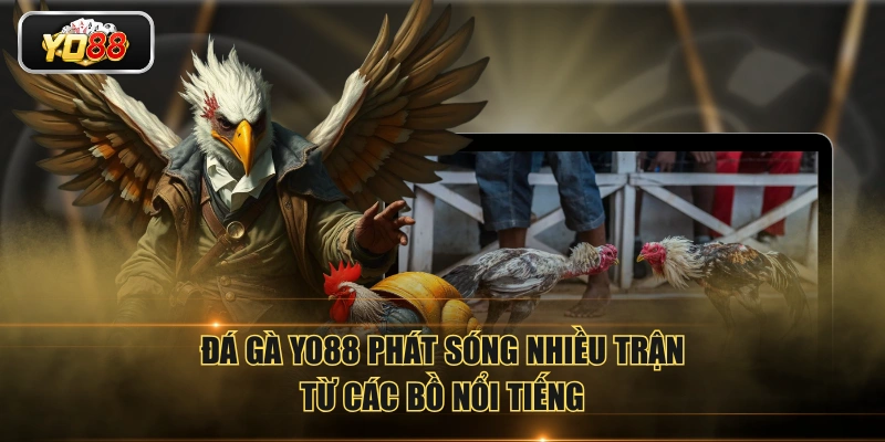 Đá Gà YO88 Phát Sóng Trực Tiếp Đá Gà Với Chất Lượng 4K