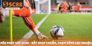 Thể Thao SC88 - Không Gian Cá Cược Lý Tưởng Cho Mọi Đam Mê