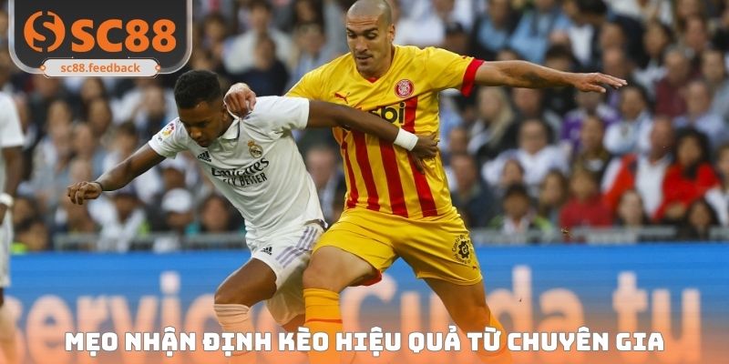 Soi Kèo Bóng Đá Hôm Nay SC88 - Nhận Định Chuẩn Xác Mỗi Ngày