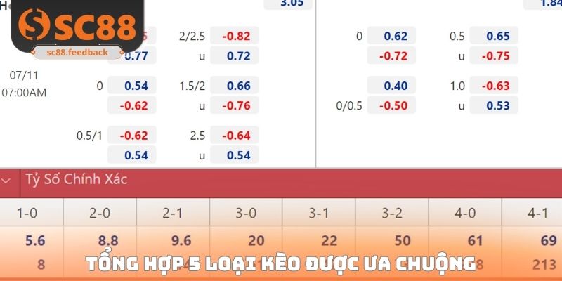 Soi Kèo Bóng Đá Hôm Nay SC88 - Nhận Định Chuẩn Xác Mỗi Ngày
