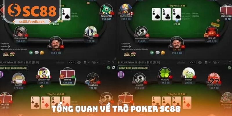 Poker SC88 - Đấu Trí Kịch Tính, All In Vốn Hốt Bạc Cực Nhanh