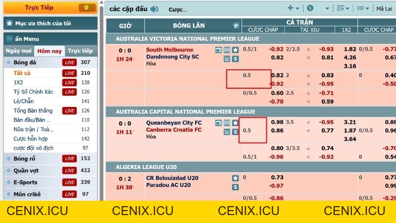 Kèo chấp 0.5 là gì? Bí kíp soi kèo nửa trái tại BK8