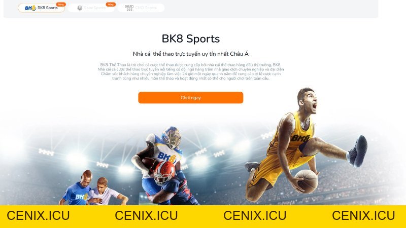 Kèo chấp 1.25 là gì? Mẹo soi kèo 1 1/4 tại BK8