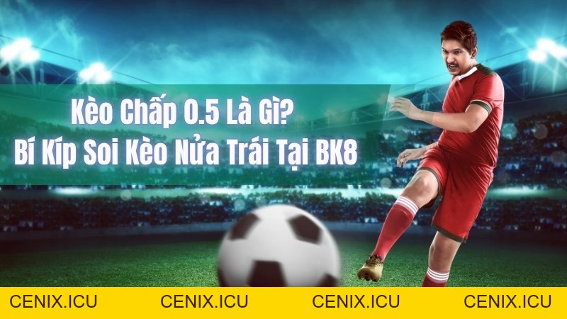 Kèo chấp 0.5 là gì? Bí kíp soi kèo nửa trái tại BK8