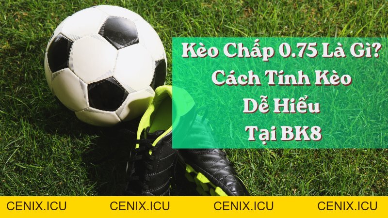 Kèo chấp 0.75 là gì? Cách tính kèo dễ hiểu tại BK8