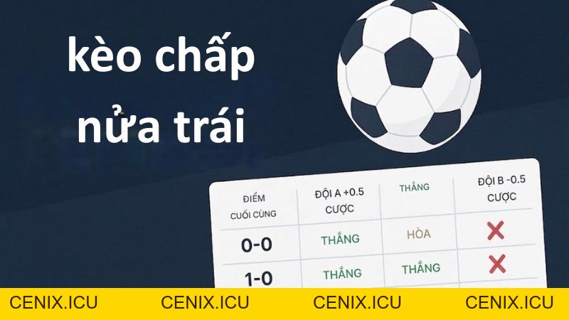 Kèo chấp BK8 - Cách đọc tỷ lệ & mẹo soi kèo luôn thắng